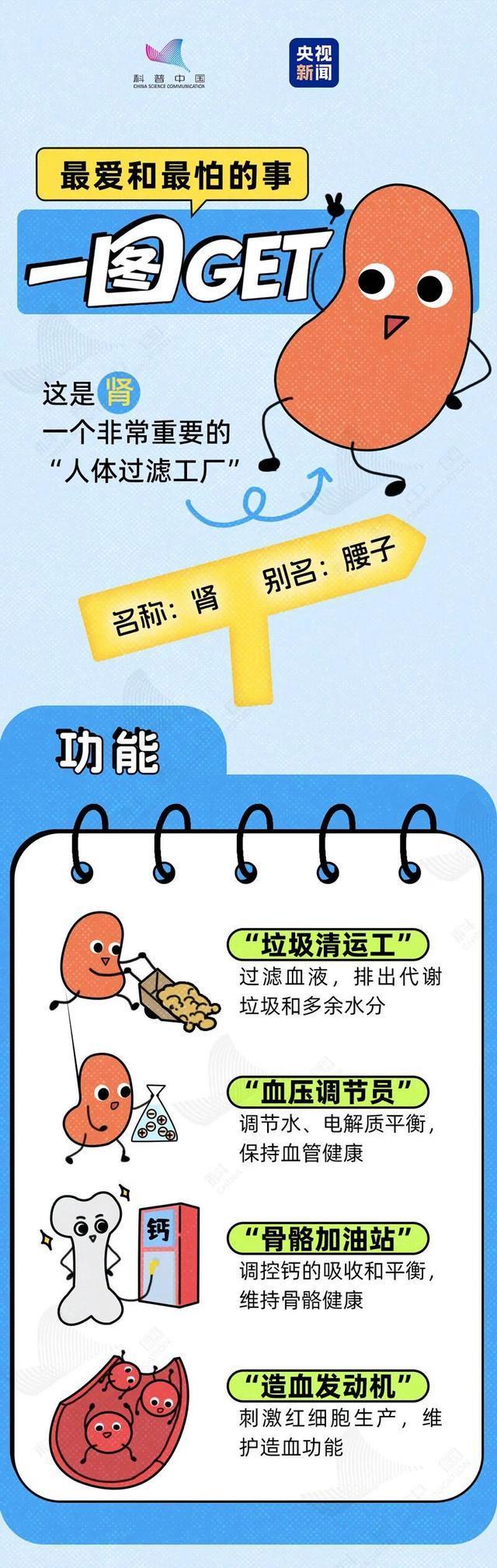 肾最“怕”的6种行为