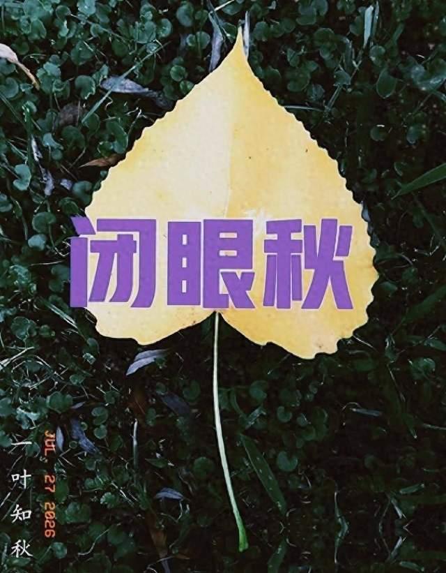 今年立秋3事须准备，有3个坏消息、3个好消息 六十年不遇的特别之处