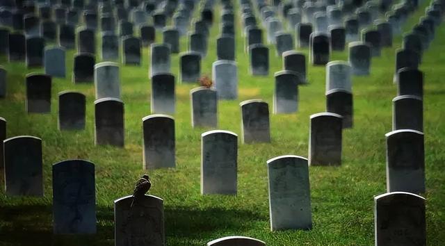 中国平均每日死亡人数真实数据你知道吗？ 老龄化社会的隐忧