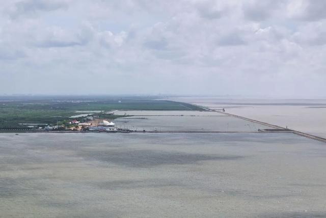 上海奉贤沿海景区全部临时闭园 台风“白海豚”逼近
