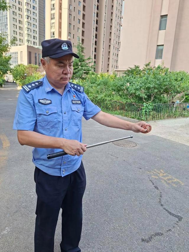 小区突现毒蛇 民警出手擒获 居民安心