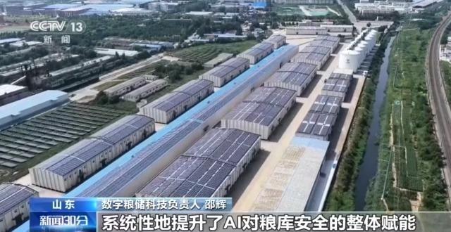 各地全方位保障“麦归仓” 守住农民收益底线