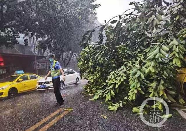 洪崖洞目击者称担心触电不敢救 暴雨积水成隐形炸弹