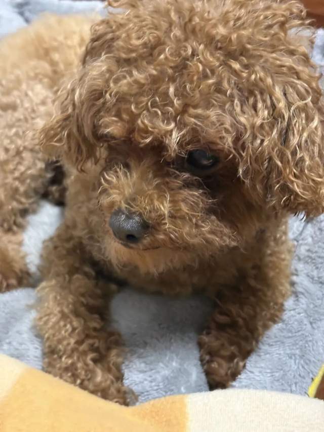 纯过日子休假：享受简单平静的幸福