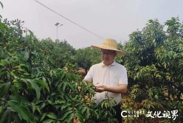 “广货行天下” 夏季行动抢跑，湛江遂溪仙品荔傍上“AI合伙人”抢占荔枝营销先机