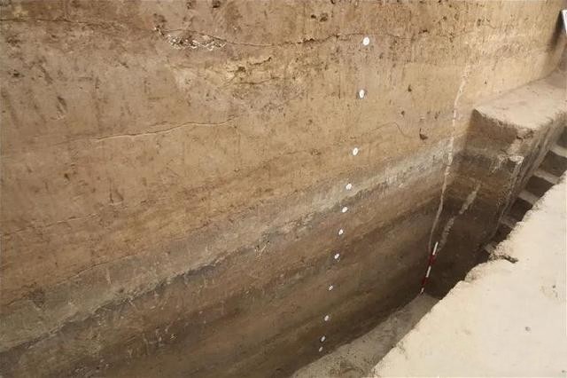 兰池水淤泥堆积点试掘。 省考古研究院供图