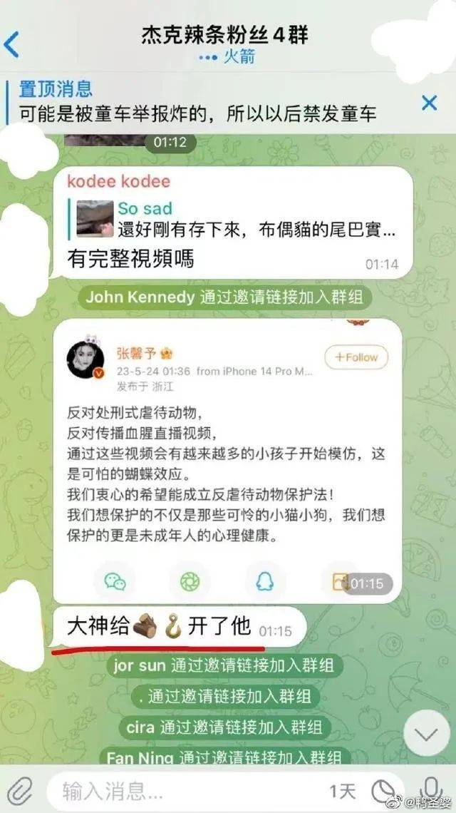 “杰克辣条虐猫”事件再升级！张馨予赵露思肖战惨遭报复