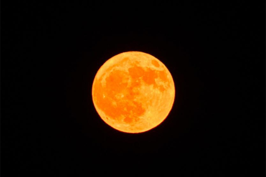 内蒙古呼伦贝尔上空现“金色”月亮