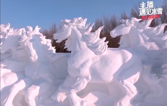 走進(jìn)太陽島雪博會 邂逅冰城雪雕之韻