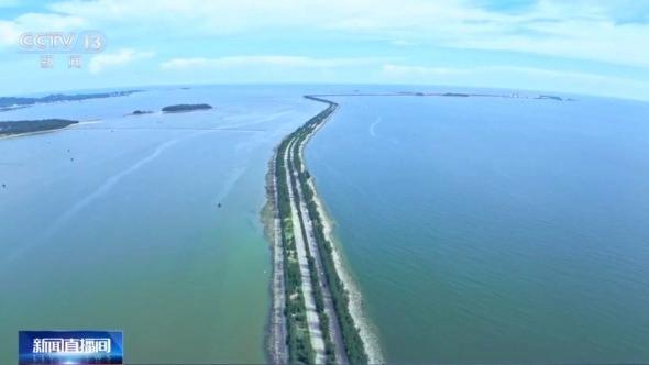 从涠洲岛到三娘湾 探访广西北部湾生态守护之路