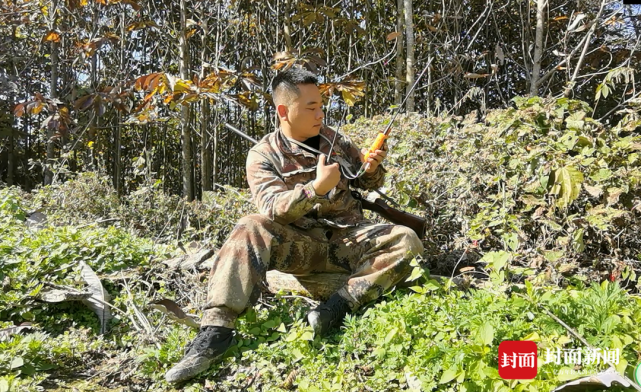 四川多地野猪泛滥 捕猎队队员“不敢打也打不过”