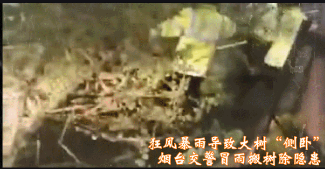 ce2a2c84-16fb-4641-989c-2b11d6b9c2ea.png