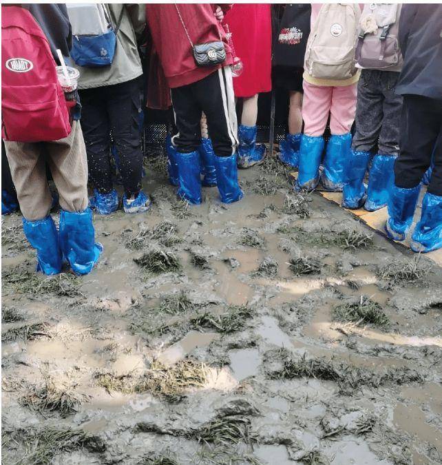 演唱會門票1280元的位置滿地泥濘 餐食比景點機場等還貴被指割韭菜