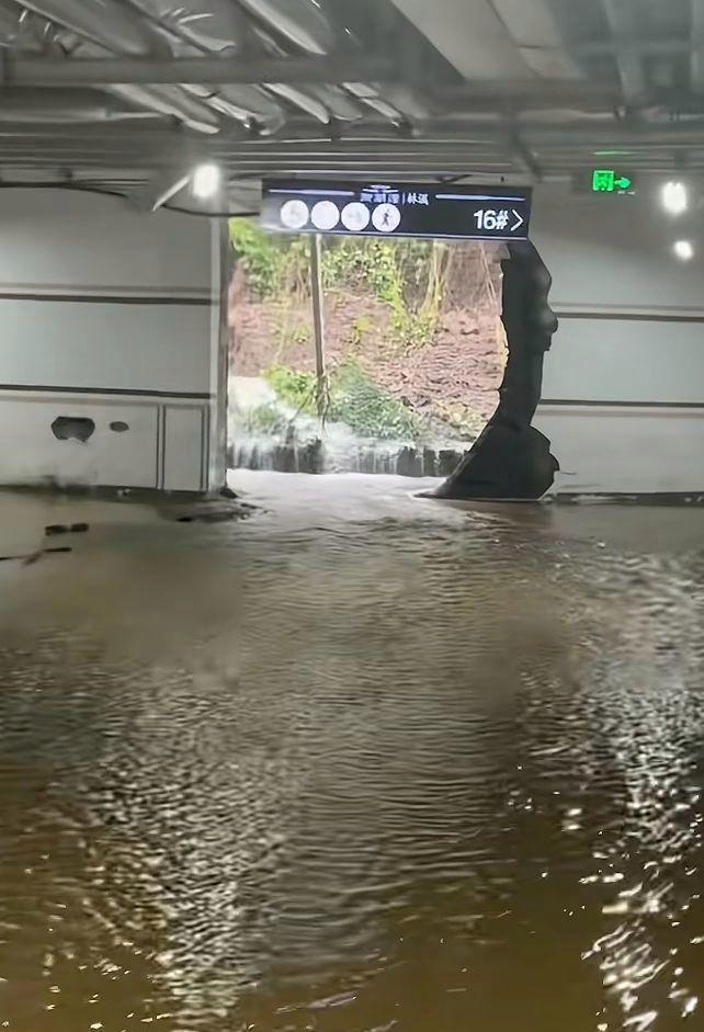 禹州一小区车库墙体被水冲破 暴雨致临时墙垮塌