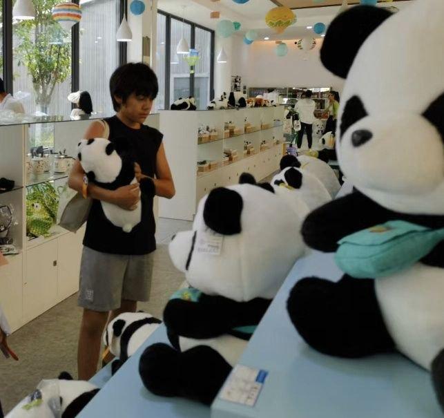 刘烨儿女在熊猫基地被偶遇，诺一背帆布包好朴实，兄妹俩晒黑不少