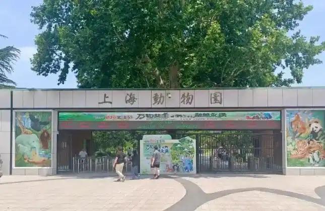 律师解读婴儿喝奶瓶在展馆被赶 管理规定需人性化考虑（女子踩中毒蛇被咬 送医时口吐