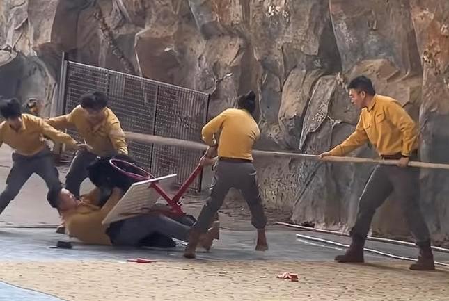 官方回应黑熊表演现场袭击饲养员 因抢食胡萝卜引发