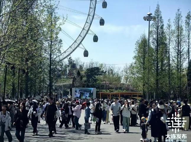 五一大連文旅市場熱度創(chuàng)歷史新高 浪漫山海迎客來