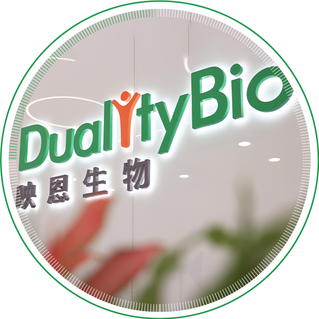 ADC领跑者映恩生物回复首轮问询：累亏超56亿元，九成收入系于BioNTech， 2031年有望扭亏