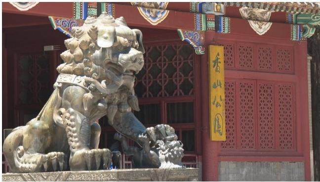 定格山河万象，邂逅天地美好|2026北京公园艺术季《遇见美好》摄影作品展亮相香山见心斋