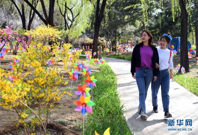 4月3日，游客在北京南宫五洲植物乐园游览。2021年南宫首届踏青艺术文化季于4月3日至5月10日举行。当日是清明小长假第一天。新华社记者 任超 摄