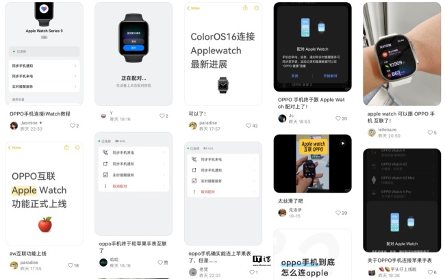OPPO 手机正式上线苹果 Apple Watch 手表互联互通功能:支持同步来电 / 通知