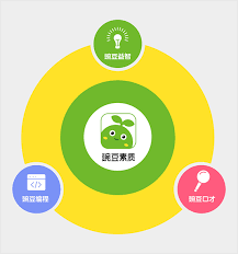 豌豆素质如何收费