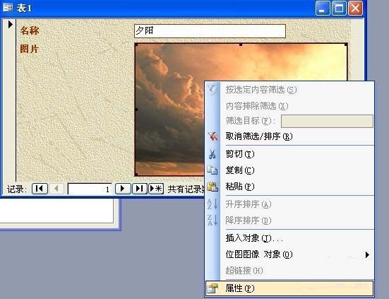access如何将图片导入数据库进行保存