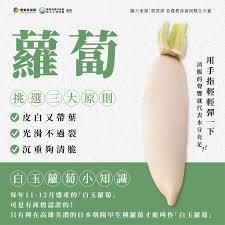 萝卜旅游如何查看消息通知