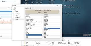 FinalShell如何设置字体大小