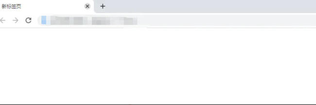 谷歌浏览器怎么添加地址