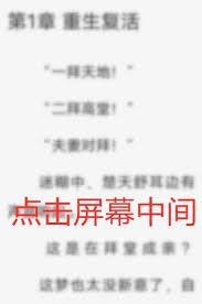 布袋鼠小说app如何设置翻页模式