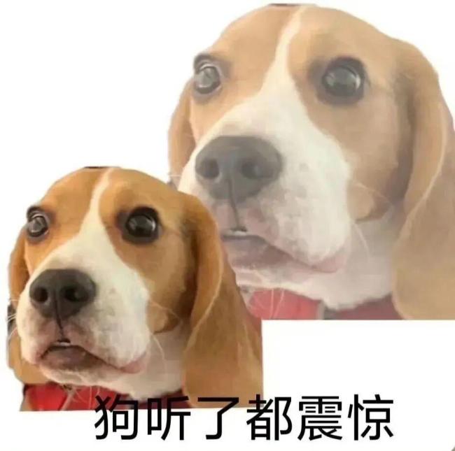  原本凉凉的手机，突然又活过来了 