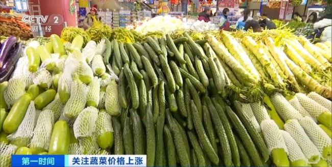 家常菜价格“不家常”？黄瓜批发价涨超40%！