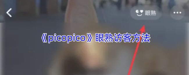 《picopico》眼熟访客方法