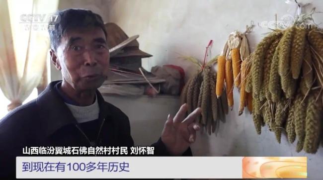被神化的外国食材，中国都在量产了