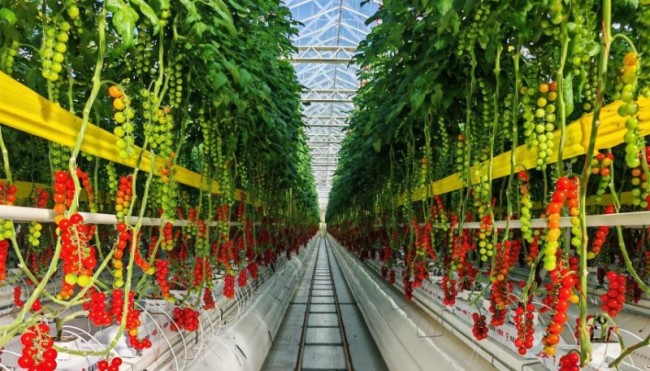 月销突破200万！一颗大™X比优特路演活动燃动东三省