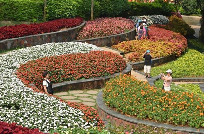 四季皆芳菲,这座城市“人间四月天”全年不打烊