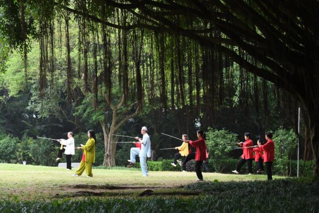 四季皆芳菲,这座城市“人间四月天”全年不打烊