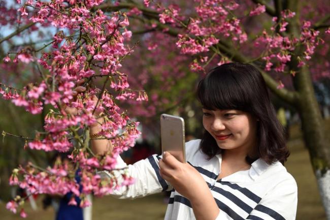 四季皆芳菲,这座城市“人间四月天”全年不打烊