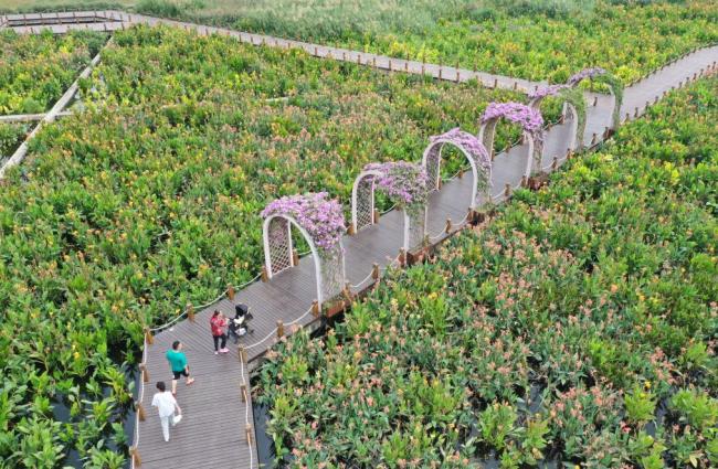 四季皆芳菲,这座城市“人间四月天”全年不打烊