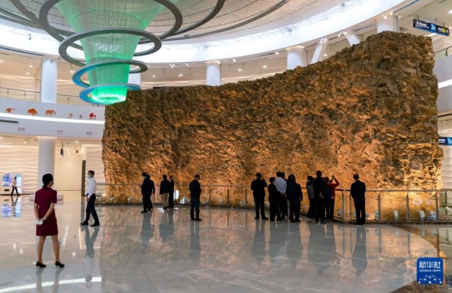 游客在澄江化石地世界自然遗产博物馆化石墙前参观（10月13日摄）。新华社记者 陈欣波 摄