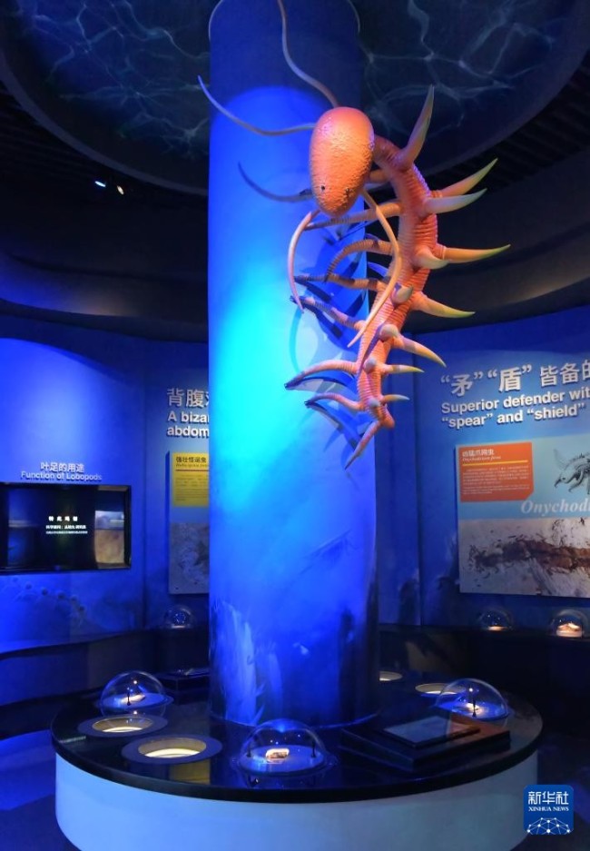 这是10月14日在澄江化石地世界自然遗产博物馆拍摄的怪诞虫模型。新华社记者 陈欣波 摄