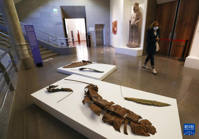 10月21日，一名女子在法国巴黎集美亚洲艺术博物馆参观越南艺术家的现代艺术作品。