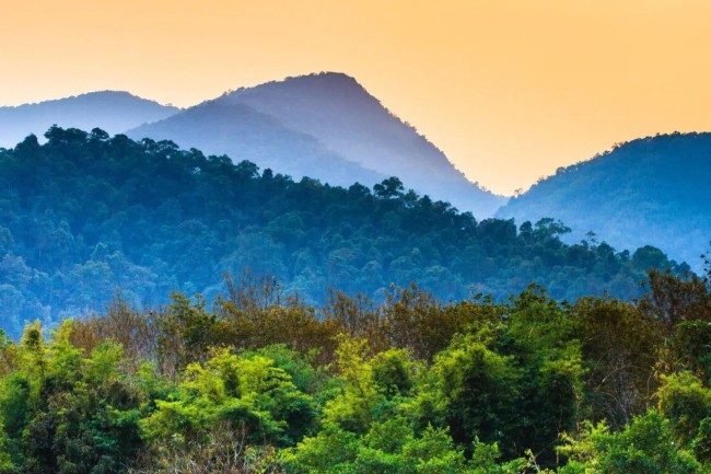 西双版纳的原始雨林，位于云南南部的西双版纳国家级自然保护区，保留着中国的大部分原始热带雨林，这里不光生活着亚洲象，更保留了北半球高纬度雨林的独特生态系统。