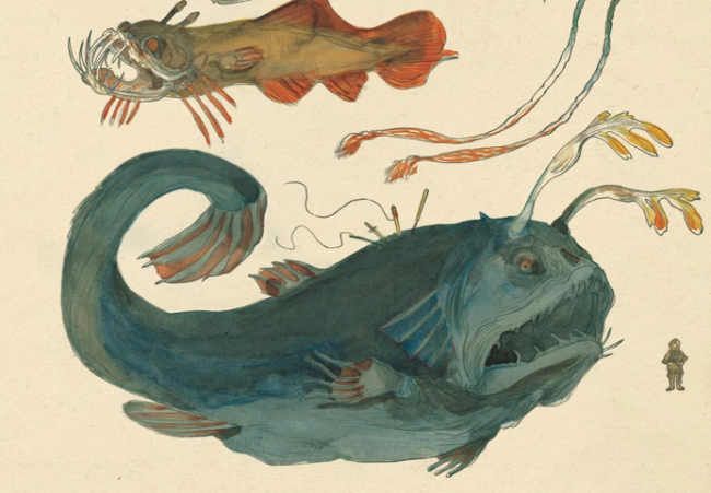 巨鱼(《博物学家的神秘动物图鉴》内页）