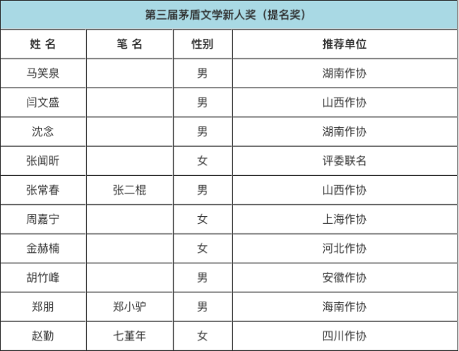 第三届茅盾文学新人奖/子奖项