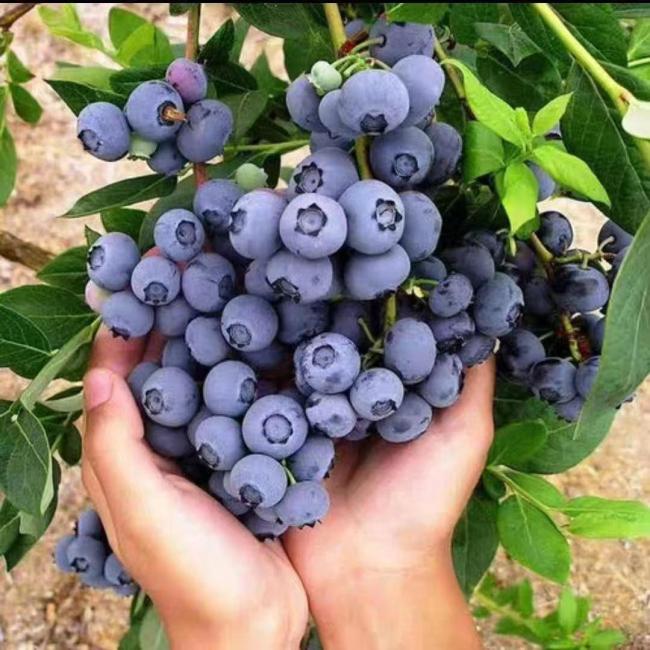 友好：友善之地，好客之城