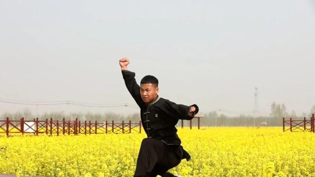 文旅安平丨你好，我是安平县，这是我的凡尔赛式新简历！