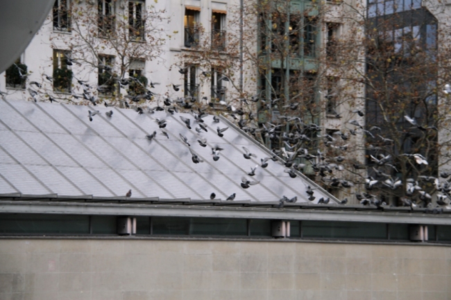 地面魔术师、激浪与余波——蓬皮杜中心与中国现代艺术